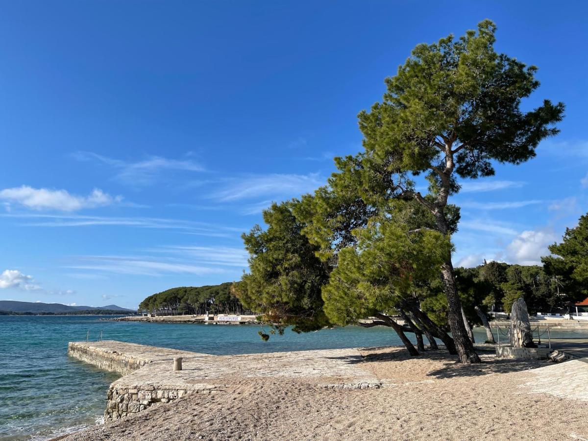 ホテル Pearl Of The Biograd ビオグラード・ナ・モル エクステリア 写真